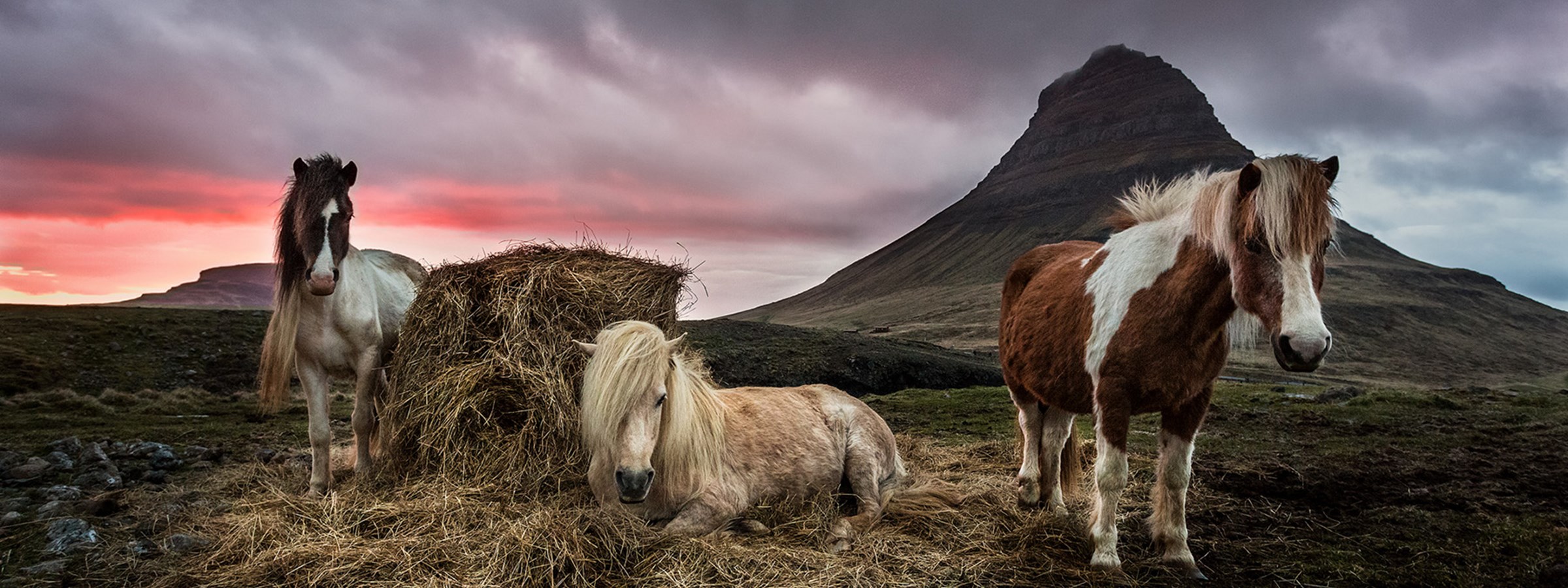 Tailor-made journeys in Iceland